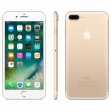 7plus-gld-2_1_1