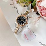 z7731269616636_b34bbec1f840212077c19ff5eee74e15