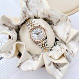 z7731271965621_9650a9b77e95e4b1134792d0e3bba619